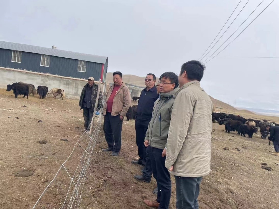 国家产业顾问组赴青海省同德县、刚察县开展牦牛藏羊产业科技帮扶